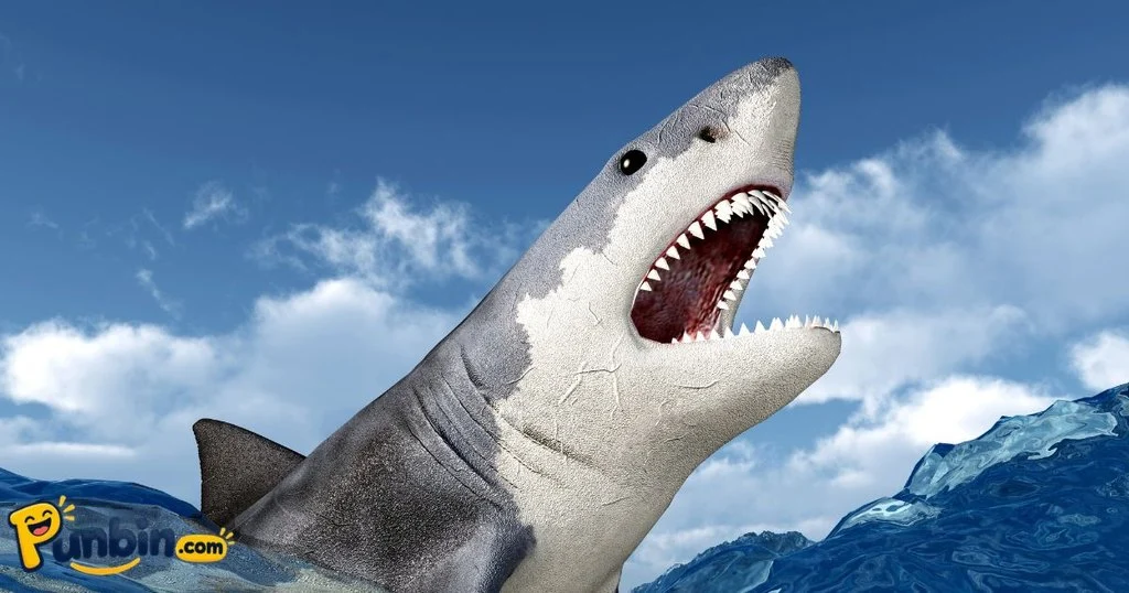 Shark Puns For Cards